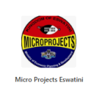 micro